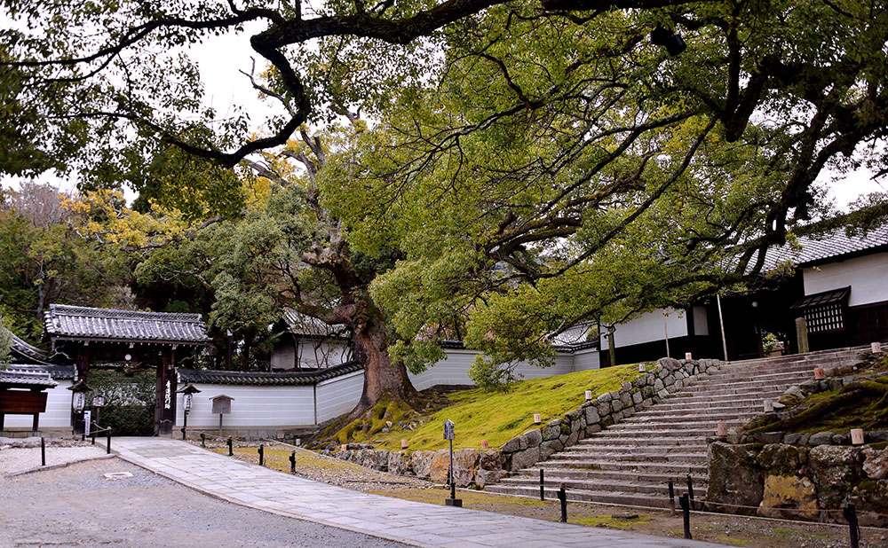 青蓮院(親鸞聖人得度の地)